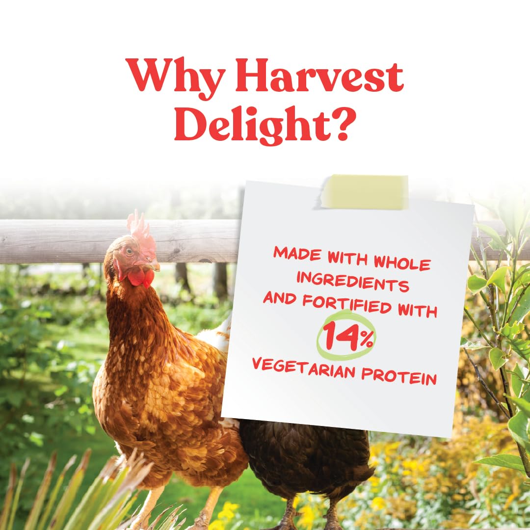 Manna Pro Harvest Delight Poultry Treat, Whole Grain & Seed Mix with Fruits & Vegetables, 14% Protein Snack for Chickens, Ducks & Mixed Flocks, 2.25 lb