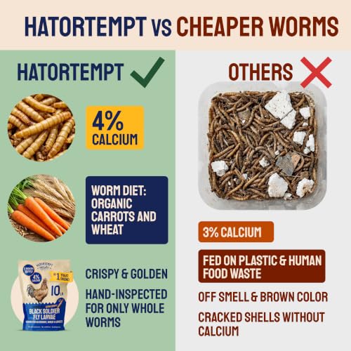 Hatortempt 10lb Black Soldier Fly Larvae for Chickens, Calci Chicken Treats | 80x More Calcium Than Mealworms - Black Soldier Fly Larvae for Chickens - Non-GMO - Fed On An Organic Diet