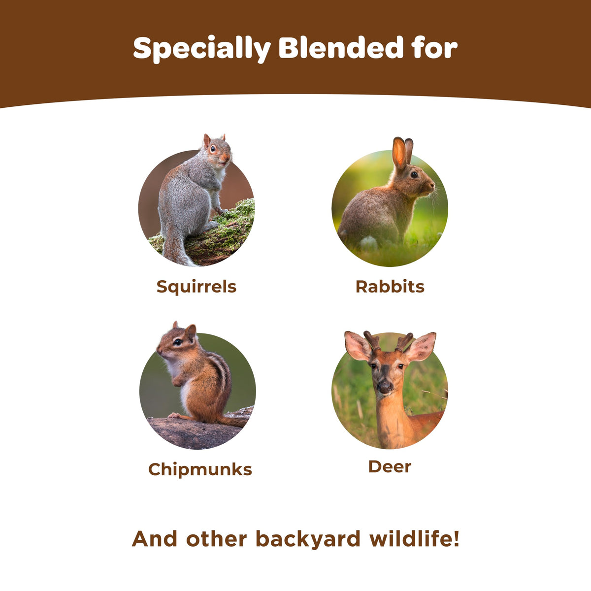 Kaytee Ultimate Backyard Wildlife Food for Wild Squirrels, Rabbits, Chipmunks, and More, 8 Pounds