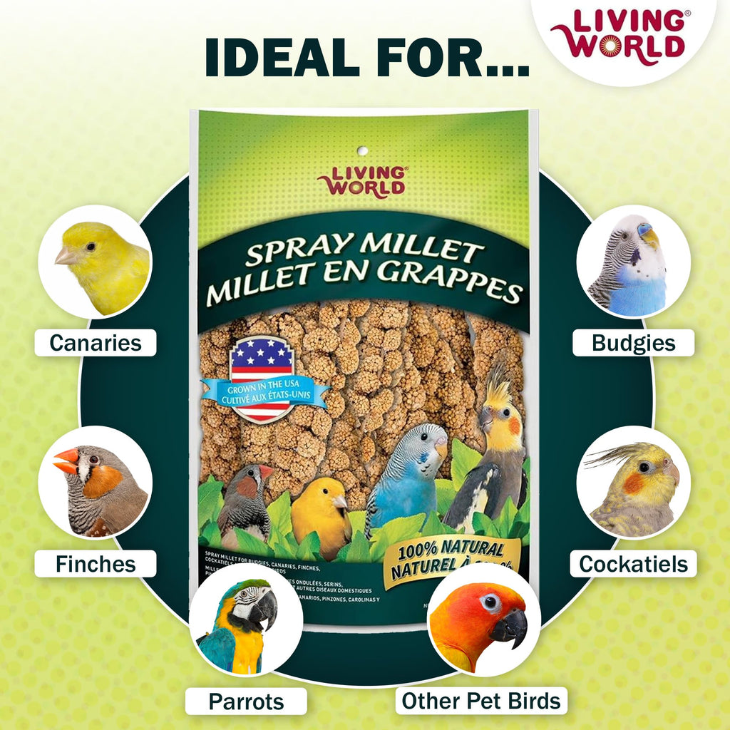 Living World Millet Spray for Birds - 3.5 oz Bag | 100% Natural, Wild-Harvested, Premium Treat - Spray Millet for Budgies, Canaries, Finches, Cockatiels & Other Pet Birds