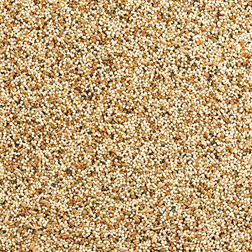 Wild Harvest Daily Blend Bird Food For Parakeet, Canary & Finch,10 lbs | Quality Seed Blend For Small Birds, With Orange Essence For Extra Flavor, Re-Sealable Bag For Freshness