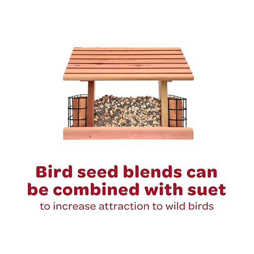 Kaytee Wild Finch Bird Food Stand Up Bag, 5 Pounds