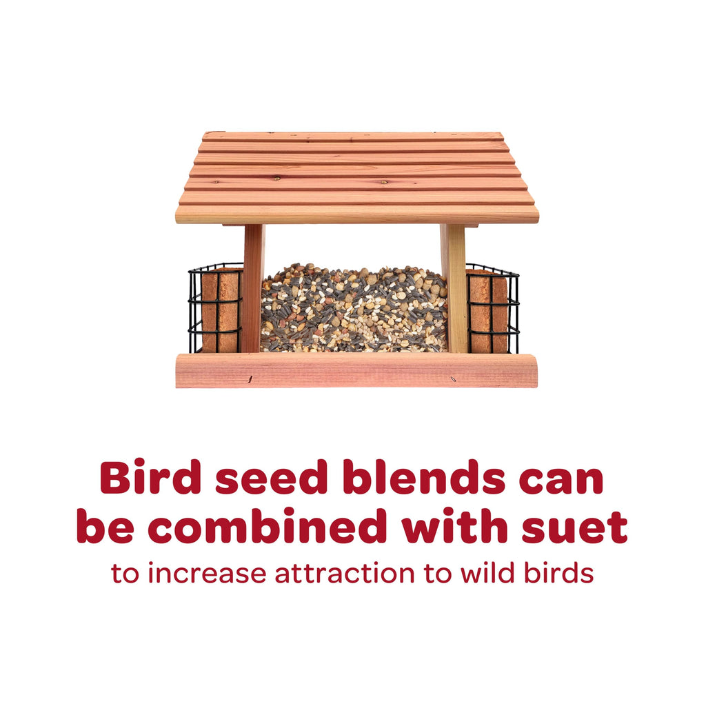 Kaytee Wild Finch Bird Food Stand Up Bag, 5 Pounds