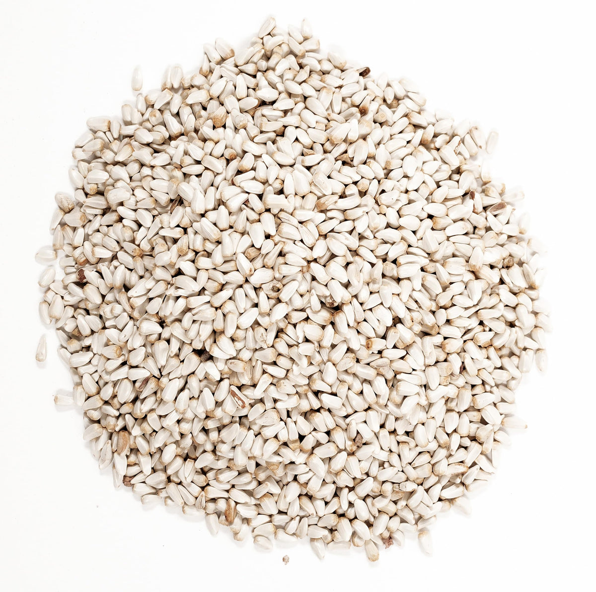 Wagner's 57075 Safflower Seed Wild Bird Food, 5 Pound (Pack of 1)
