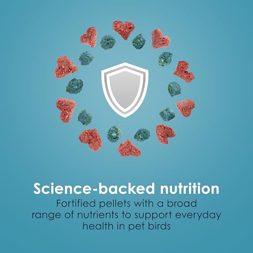Kaytee Forti-Diet Pro Health Nourish+Protect Parakeet Food, 2 Pounds | Balanced digestion daily. Parakeet seed with superfoods. Prebiotics, probiotics, small bird food