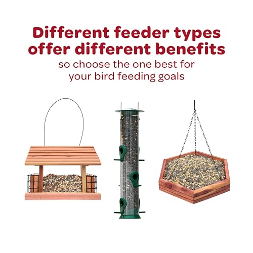 Kaytee Wild Finch Bird Food Stand Up Bag, 5 Pounds