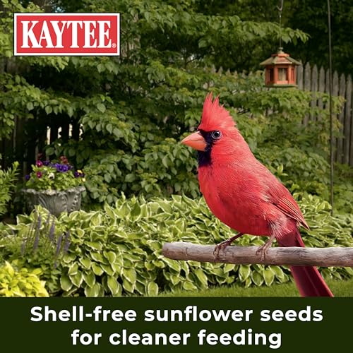 Kaytee Wild Bird Ultra No Mess Nut & Fruit Food Seed Blend For Blue Jays, Woodpeckers, Juncos, Cardinals, Grosbeaks, Sparrows, and Finches, 5.5 Pound