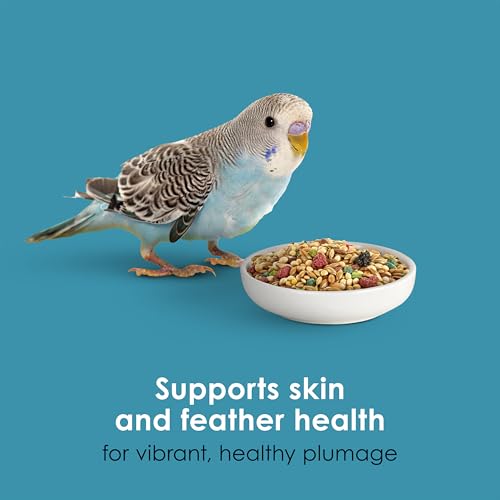 Kaytee Forti-Diet Pro Health Nourish+Protect Parakeet Food, 2 Pounds | Balanced digestion daily. Parakeet seed with superfoods. Prebiotics, probiotics, small bird food