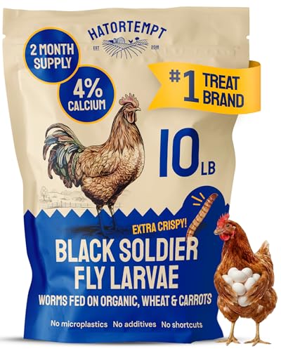 Hatortempt 10lb Black Soldier Fly Larvae for Chickens, Calci Chicken Treats | 80x More Calcium Than Mealworms - Black Soldier Fly Larvae for Chickens - Non-GMO - Fed On An Organic Diet