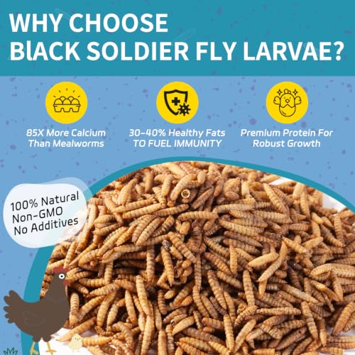 OHNAME 10LB Dried Black Soldier Fly Larvae for Chickens | Factory Direct-No Middle Man, 4% Calcium for Strong Eggshells, 43% Protein Natural Treats for Vibrant Feathers