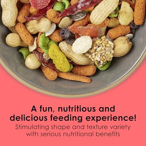 Kaytee Fiesta Parrot Food for Large Birds, 2.5 Pounds | Fun feeding. Bird food with fruits, veggies, grains. Bird seeds, shapes and textures for natural foraging