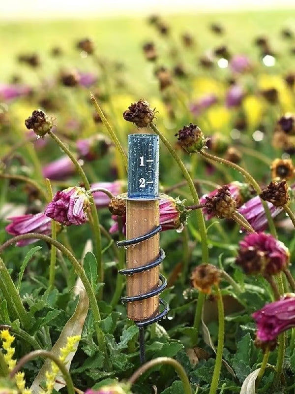 World's Coolest Rain Gauge